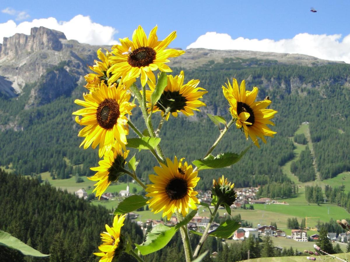Hotel Garni Irsara San Cassiano  Esterno foto